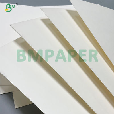 300gm Fold Resistance Cup Stock Paper Roll για ποτήρια ζεστών ποτών