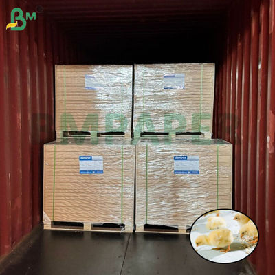 Λευκό χαρτί εκτροφής κοτόπουλων Χαρτί κοτόπουλου για την εκτροφή πουλερικών 66cm 100cm