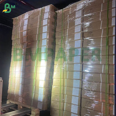 Λευκό χαρτί εκτροφής κοτόπουλων Χαρτί κοτόπουλου για την εκτροφή πουλερικών 66cm 100cm