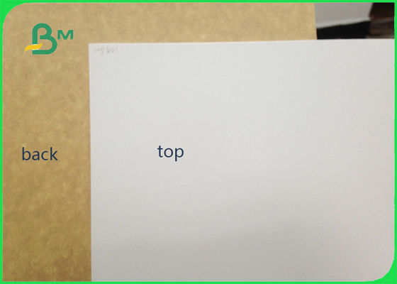 450gsm επικυρωμένος FSC ντυμένος άργιλος ρόλος εγγράφου βαθμού τροφίμων της Kraft πίσω/άσπρο έγγραφο σκαφών της γραμμής για τη συσκευασία