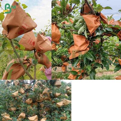 Κόκκινο Εξωτερικό Χαρτί Συσκευασίας Φρούτων για τύλιγμα Μήλων, Χαρτί Συσκευασίας Μήλων 56gsm χωρίς κερί