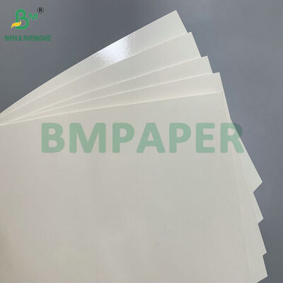 250g 280g ΠΕΤ επικαλυμμένο ελαιόστερο χαρτί τροφικής ποιότητας για την παρασκευή κουτιού μεσημεριανού φαγητού