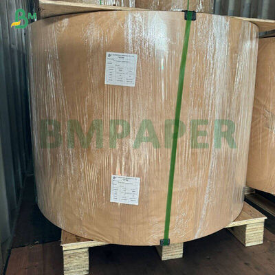 Λιπαρά Λευκά Καφέ Κίτρινα Πράσινα Χάρτινα Φλιτζάνια για Cupcake για Ψήσιμο