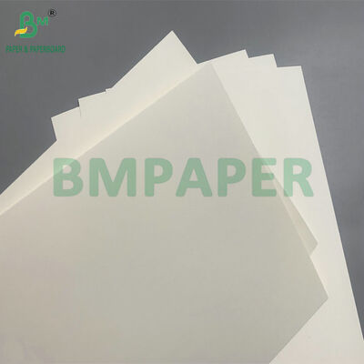 Βιοαποικοδομήσιμο και ασφαλές χαρτί μικροκυμάτων για την κατασκευή δοχείων για σαλάτα