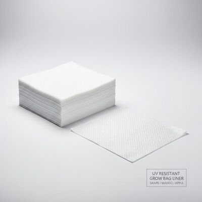 Ανθεκτικό στις ακτινοβολίες υπεριώδους ακτινοβολίας χαρτί σάκων για την καλλιέργεια μήλων με νιφάδες