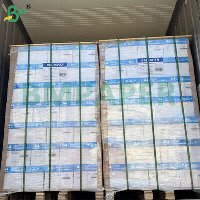 8.5" X 11" Ψηφιακό Χωρίς Άνθρακα Χάρτινο Χάρτινο Χάρτινο Χάρτινο Χάρτινο Χάρτινο Χάρτινο Χάρτινο Χάρτινο Χάρτινο