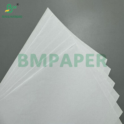 High Brightness 70gsm 80gsm Digital Printing Paper for Laser & Inkjet Printing Brochures & Book Printing