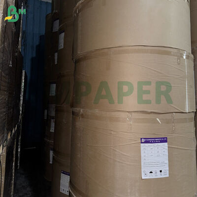 Colored Translucent Paper Master Roll 20 - 40gsm Food Grade Wrapping