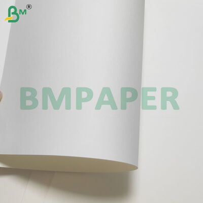 PET Coated Food Grade Plate/Bowl Paper Rolls Heat Resistant