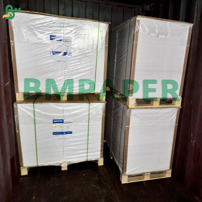 Off White Absorb Pad Line Paper for Cup Pads & Beer Mats 1,0mm