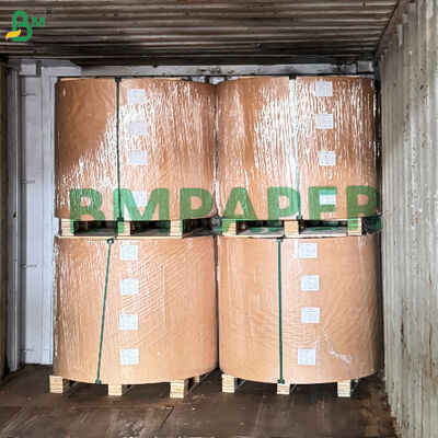 PE Lined White Paper Stock for Paper Soup / Hot Food Cups 170 - 230g + 15g