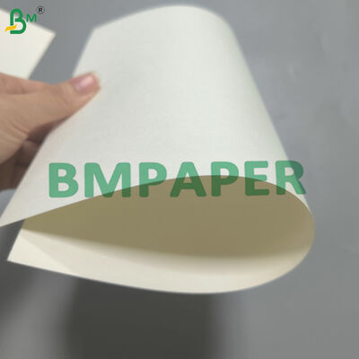 Μονόπλευρη βάση νερού επικαλυμμένη με Cupstock Plastic Free 170-320g λευκή