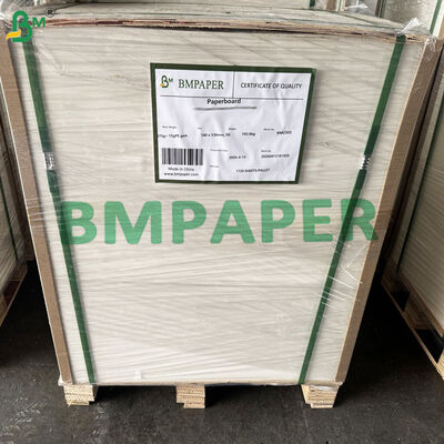 Μονόπλευρη βάση νερού επικαλυμμένη με Cupstock Plastic Free 170-320g λευκή