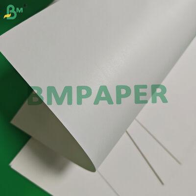 170gsm 190gsm Υδατοδιαλυτό χαρτί μονής επίστρωσης για ποτήρια κομποστοποιήσιμο 650mm