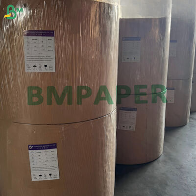 170gsm 190gsm Υδατοδιαλυτό χαρτί μονής επίστρωσης για ποτήρια κομποστοποιήσιμο 650mm