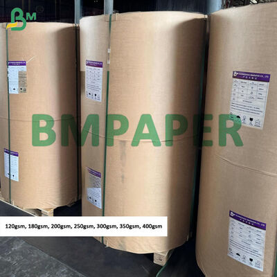 300gsm 250gsm Λευκό Kraft Χαρτί για Ετικέτες Jumbo Ρολά, Τραχιά Επιφάνεια
