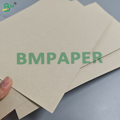 230g Compostable Recycled Sugarcane Bagasse Paper For Disposable Plates 1000mm