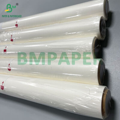 15 in X 30 ft Non Stick 40grs Silicone Coated Parchment Paper Roll for Food Baking