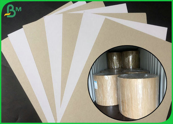 Το FSC επικυρωμένο έντυσε τη διπλή άσπρη πλευρά πινάκων με το γκρι πίσω στη μεγάλη συσκευασία ρόλων