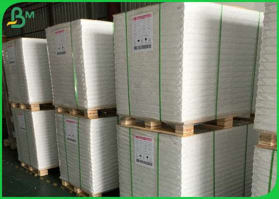 300GSM SGS FSC άσπρο στιλπνό εξέλικτρο χαρτιού τέχνης με το φυσικό υλικό πολτού 100%