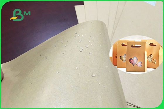 ενιαία ή διπλή πλευρά φύλλων ντυμένου εγγράφου PE 300gsm 350gsm για το FDA πιάτων FSC