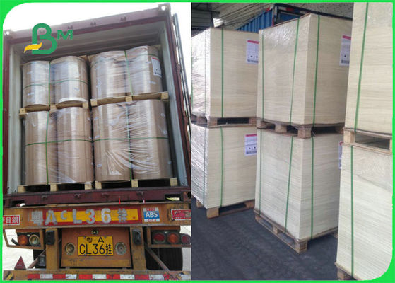 FDA επικυρωμένο FSC έγγραφο ψησίματος τροφίμων ασφαλές ανθεκτικό στη θερμότητα για τη σχάρα που μαγειρεύει BBQ