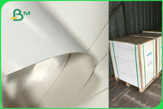 Προσαρμοσμένο ενιαίο δευτερεύον ντυμένο έγγραφο PE για το μίας χρήσης FDA πιάτων FSC εγκεκριμένο