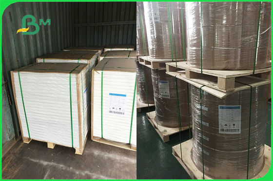 Προσαρμοσμένο ενιαίο δευτερεύον ντυμένο έγγραφο PE για το μίας χρήσης FDA πιάτων FSC εγκεκριμένο