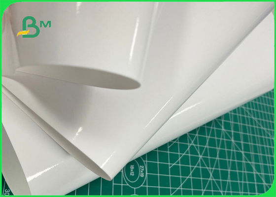 Ενιαίο δευτερεύον στιλπνό 200g 240g 260g RC έγγραφο φωτογραφιών FSC & SGS για τον εκτυπωτή HP