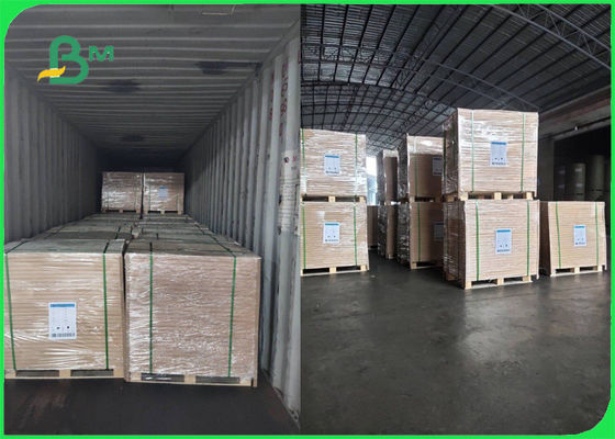 Εγκεκριμένος FSC ρόλος εγγράφου 70g 80g άσπρος Woodfree για το φυλλάδιο ομαλό