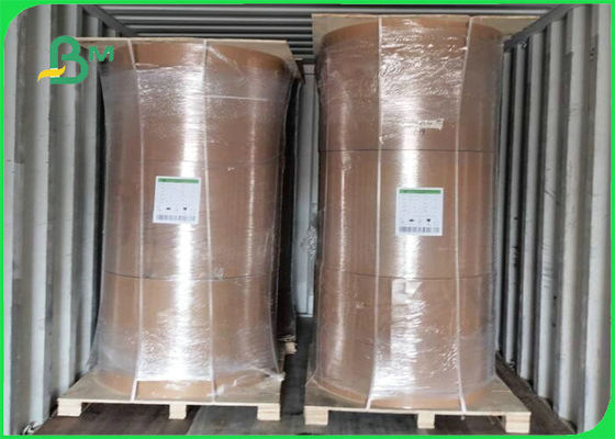 Βιοδιασπάσιμος πίνακας της Kraft ταινιών PE 300gsm + 15g για τη συσκευασία τροφίμων