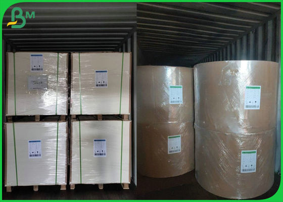 Greaseproof στιλπνό ντυμένο PE Kraft έγγραφο 140g + 15g στο ρόλο 790mm