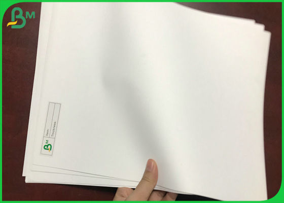 Μη δακρυ'ων 100um 130um παχιοί PP ρόλοι εγγράφου πολυπροπυλενίου συνθετικοί 1090mm πλάτος