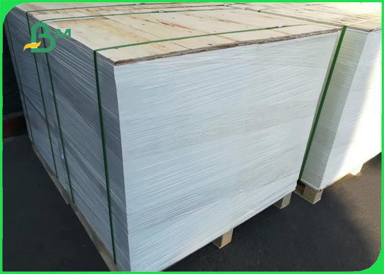 άσπρο χαρτόνι βαθμού τροφίμων 295gsm 325gsm για Popcorn τον υψηλό όγκο 70 X 100cm κιβωτίων