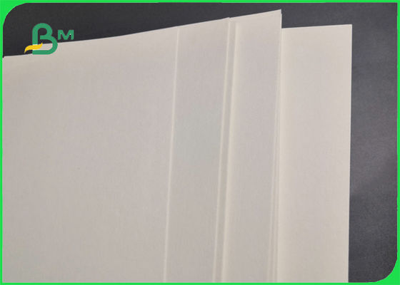 Το χωρίς επίστρωση έγγραφο ακτοφυλάκων 390gsm για τα ποτά 400 X 580mm γρήγορα ποτίζει την απορρόφηση