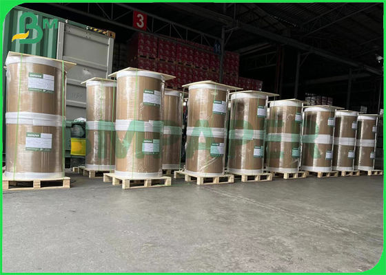 240gsm αντι - χαρτόνι ένα της Λευκής Βίβλου ψυκτήρων ντυμένος πλευρά πίνακας τροφίμων