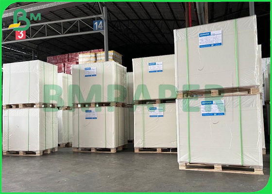 240gsm αντι - χαρτόνι ένα της Λευκής Βίβλου ψυκτήρων ντυμένος πλευρά πίνακας τροφίμων