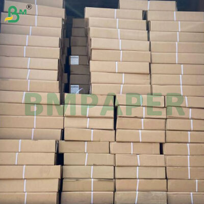 Ρολά χαρτιού Plotter 80gsm CAD 2